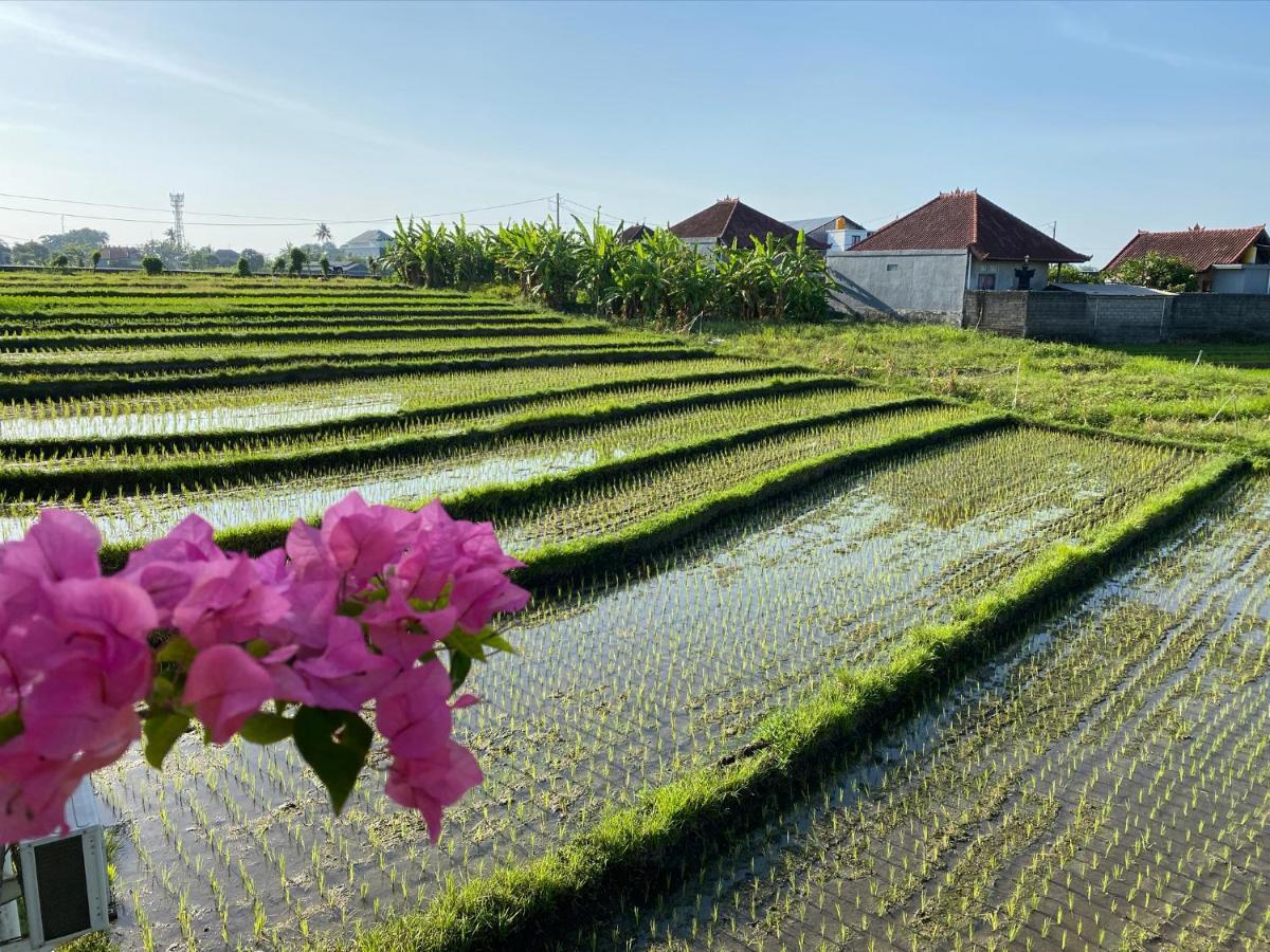 Canggu - Pererenan Guesthouse " Abalihouse " Luaran gambar