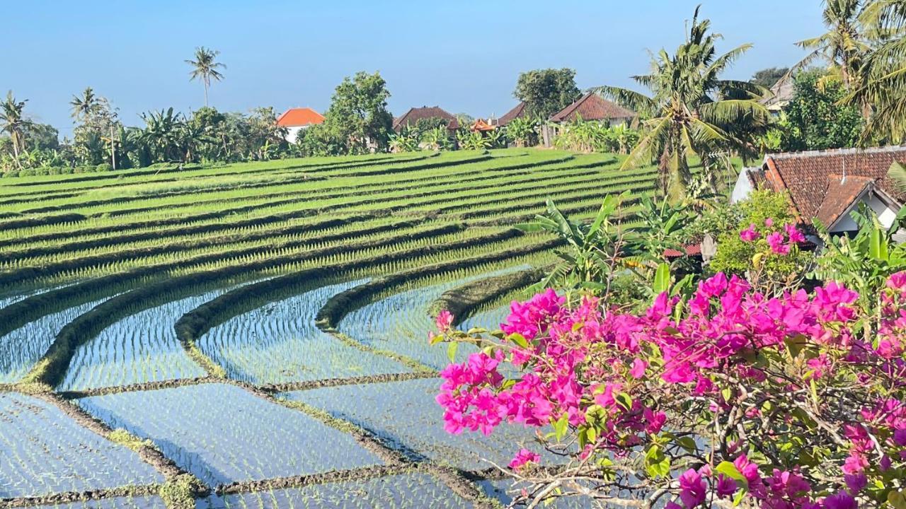 Canggu - Pererenan Guesthouse " Abalihouse " Luaran gambar